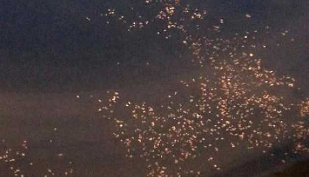 Hình ảnh chụp các vật thể lạ tại vùng nước được cho là máy bay rơi (ảnh: South China Morning Post)