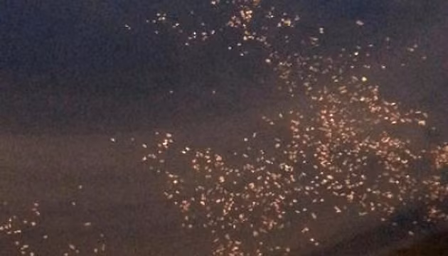 Hình ảnh chụp các vật thể lạ tại vùng nước được cho là máy bay rơi (ảnh: South China Morning Post)