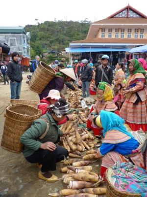 Hương sắc ba miền 