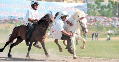 Một kỹ sĩ chuẩn bị... rơi khỏi lưng ngựa!