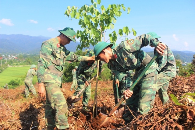 Cán bộ, chiến sĩ Trung đoàn 82 trồng cây ban trên đồi Độc Lập.