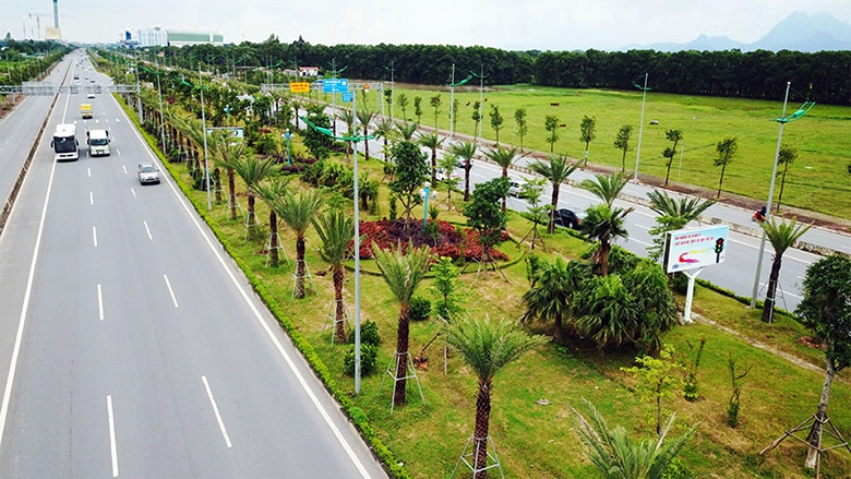 Hệ thống cây xanh nhiều tầng trên đường Võ Nguyên Giáp. Ảnh: Phạm Hùng