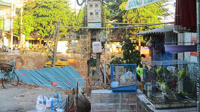 Chim rừng được bày bán công khai với số lượng lớn và đa dạng về chủng loại.
