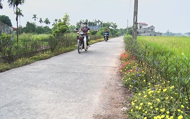 Đường nông thôn mới tại xã Bình Nghĩa, huyện Bình Lục (Hà Nam).