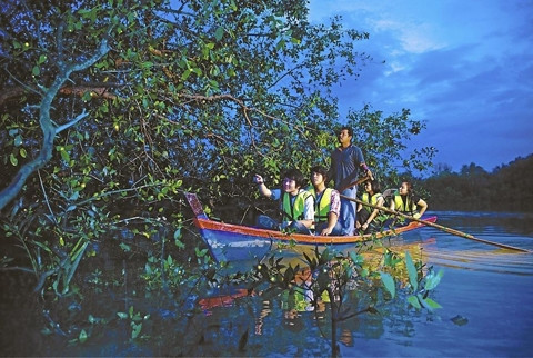 Thuyền đưa khách tham quan công viên đom đóm.