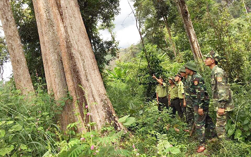 Lực lượng chức năng tuần tra, bảo vệ rừng.