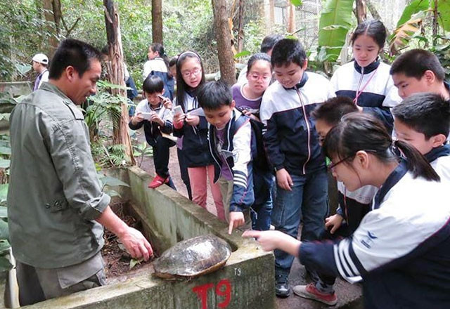 Cán bộ Trạm Đa dạng sinh học Mê Linh hướng dẫn các em học sinh tìm hiểu về loài rùa. Ảnh: NGUYỄN PHƯỢNG