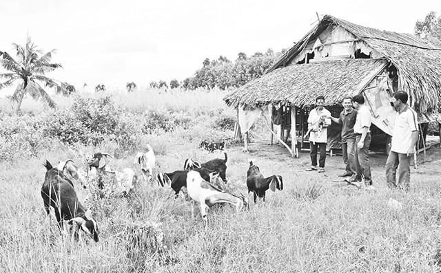 Mô hình nuôi dê của nông dân xã Phong Thạnh Tây, huyện Phước Long (Bạc Liêu) đem lại hiệu quả cao.