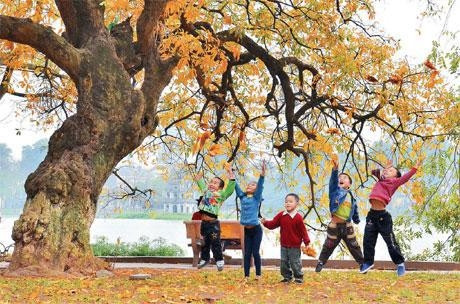 Bên gốc lộc vừng già.