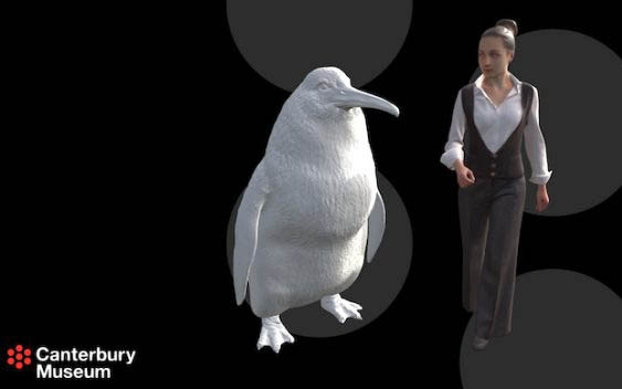 Bảo tàng Canterbury dựng mô phỏng kích thước loài chim cánh cụt Crossvallia waiparensis dựa trên mẫu hóa thạch khổng lồ (Ảnh: Geek.com)