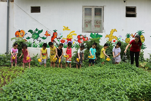 Các bé lớp mầm non trải nghiệm tại vườn rau ở Bắc Giang.