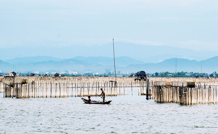 Cuộc sống của người dân vùng phá Tam Giang đang đổi thay từng ngày.