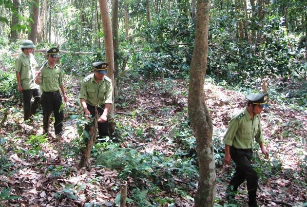Lực lượng kiểm lâm tuần tra bảo vệ rừng Phong Nha - Kẻ Bàng.