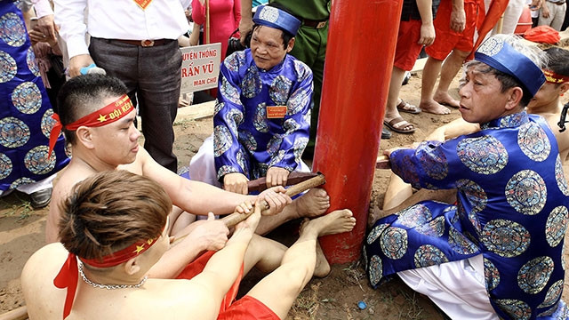 Hai đội kéo dưới sự phân định của trọng tài, cùng đạp chân vào cột để tạo lực.