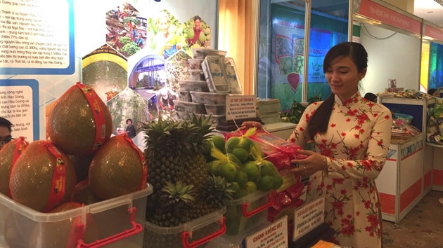 Gian hàng của tỉnh Hậu Giang trưng bày hàng hóa, đặc sản và các dự án cần thu hút đầu tư.