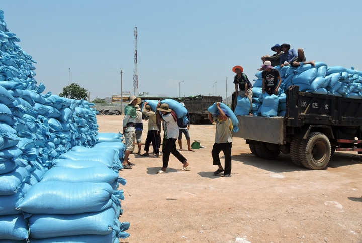 Muối Ninh Thuận tồn đọng được đưa vào kho.