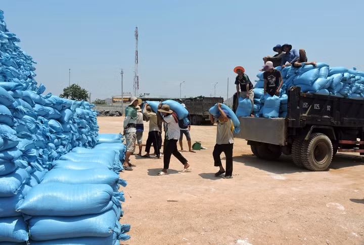 Muối Ninh Thuận tồn đọng được đưa vào kho.