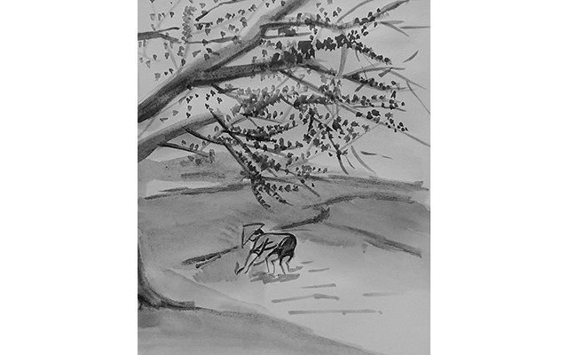 Cây gạo năm xưa