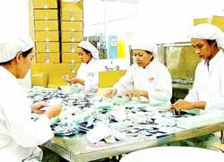 Mở hướng đầu tư sản xuất thuốc giá rẻ generic