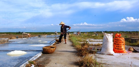 Thành quả sau một ngày cực nhọc.
