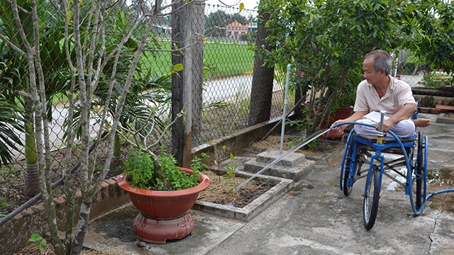 Thương binh Đỗ Văn Nhịp, 65 tuổi, chăm sóc vườn cây cảnh của gia đình.