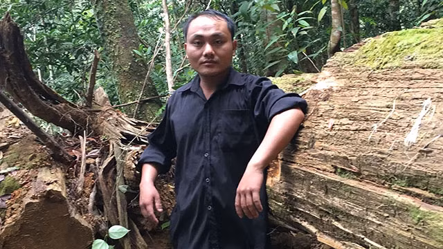 Đời người thầm lặng giữ pơ mu