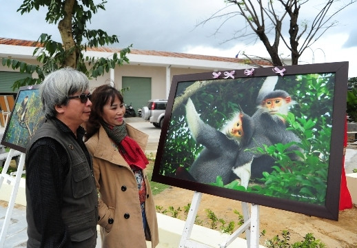 Triển lãm ảnh vọoc chà cá chân nâu của nhà báo Đặng Thu Thuỷ.