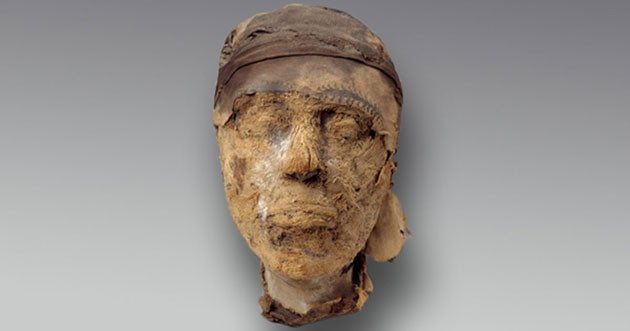 Đầu xác ướp bị tách rời khỏi cơ thể. 