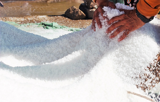 Muối mặn trên tay người. Ảnh: Zũ