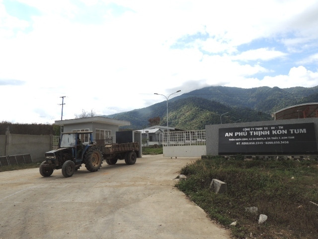 Nhà máy chế biến mủ cao su An Phú Thịnh (Ảnh chụp lúc 11 giờ, ngày 9-1).