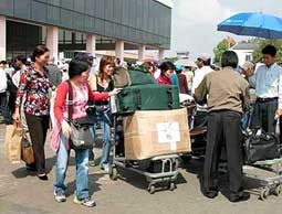 Năm nay, hơn 100 nghìn Việt kiều
về quê đón Tết.