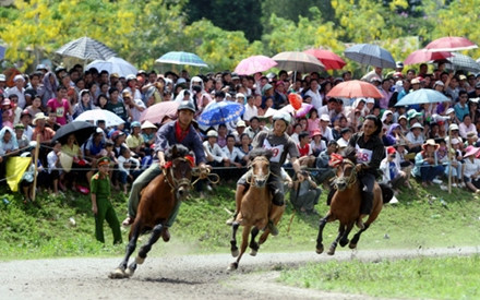Đua ngựa ở Bắc Hà (Lào Cai).