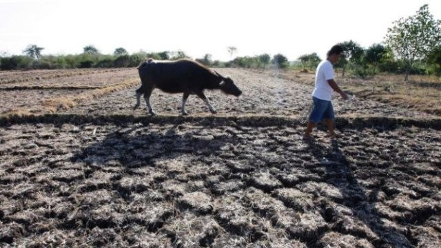 El Nino là một hiện tượng thời tiết cực đoan, có ảnh hưởng mạnh tới khí hậu toàn cầu. (Ảnh internet) 