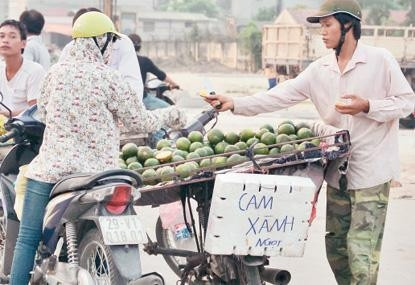 Cam được bán với giá rẻ trên đường Hồ Tùng Mậu.