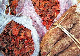 Uống thuốc đông y nên biết