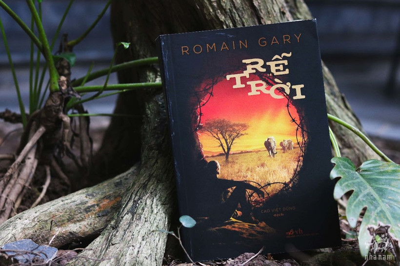 “Rễ trời” - Tiếng kêu cứu của hệ sinh quyển