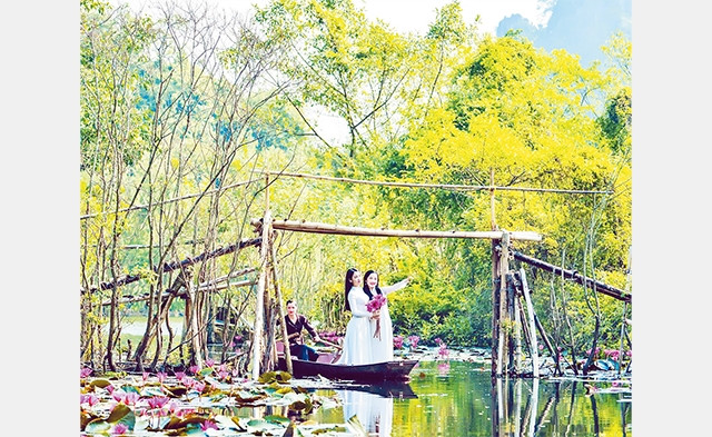 Mùa hoa súng trên dòng suối Yến, xã Hương Sơn (Mỹ Ðức). Ảnh: LÊ XUÂN BÁCH