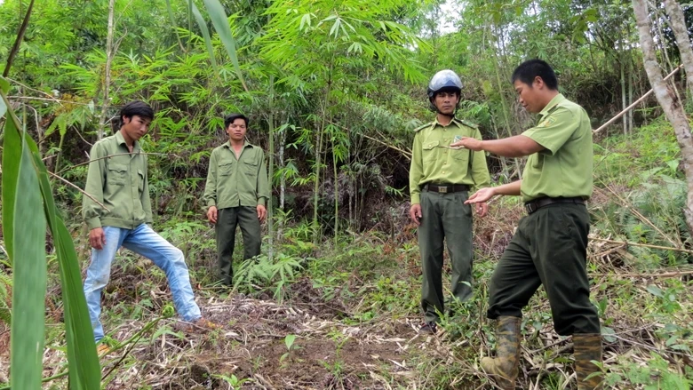Cán bộ kiểm lâm và nhân viên Khu Bảo tồn thiên nhiên Tà Đùng, tỉnh Đác Nông lên kế hoạch khôi phục rừng ở những khu vực bị phá trước đó.