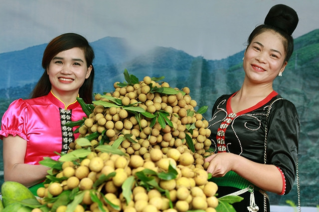 Ngày hội nhãn Sông Mã.
