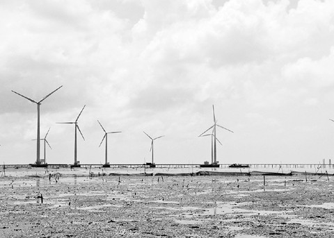 Cánh đồng điện gió Bạc Liêu.