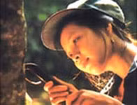 Giá cao su RSS3 sẽ tăng do cung khan ở Indonesia