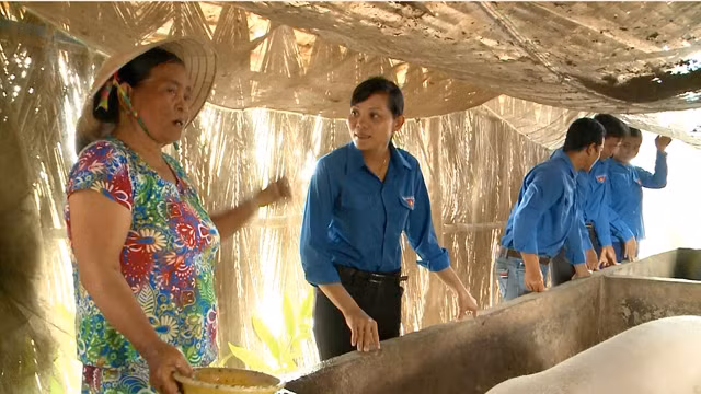 Đồng chí Danh Thị Mị (thứ hai từ trái qua) cùng các đoàn viên, thanh niên xã Khánh Hòa, huyện U Minh (Cà Mau) thăm mô hình chăn nuôi gia súc của một hộ dân.