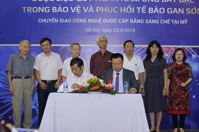 Thêm một thảo dược quý giúp bảo vệ và phục hồi tế bào gan