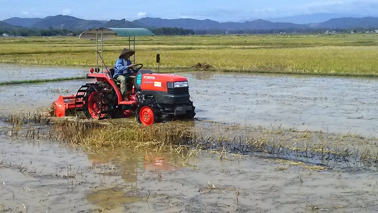 Trên đồng ruộng Hà Tĩnh xuất hiện nhiều máy cày loại lớn để "chạy đuổi" vụ hè thu.