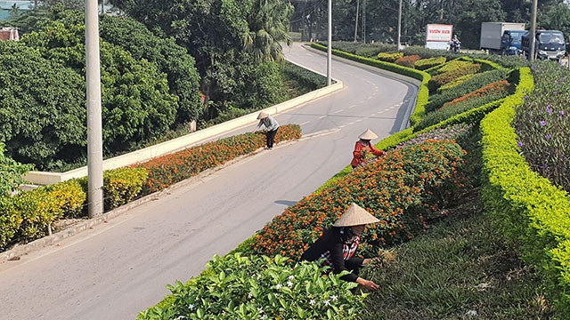 Con đường cây xanh triền đê tại xã Vạn Phúc.