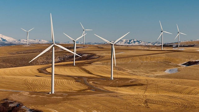 Một dự án năng lượng sạch của Google. Ảnh: POWER TECHNOLOGY