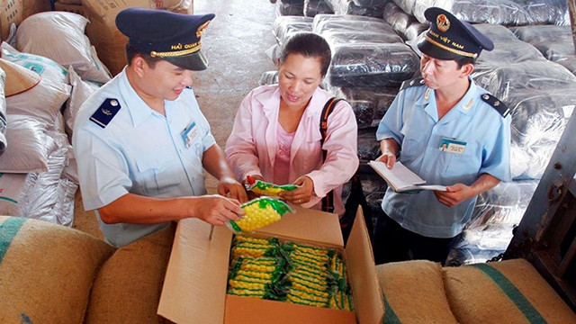 Tăng cường cải cách hoạt động kiểm tra chuyên ngành và cắt giảm, đơn giản hóa điều kiện kinh doanh.