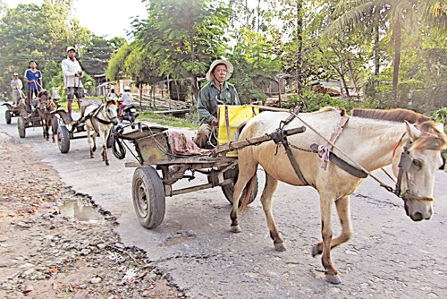 Thời hưng thịnh, ở Bảy Núi có cả trăm xe ngựa vận chuyển cả người vàhàng hóa xuôi ngược khắp vùng.