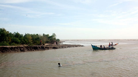 Rừng phòng hộ tại cửa biển Sào Lưới (huyện Trần Văn Thời, Cà Mau) đang đứng trước nguy cơ bị xóa sổ do tình trạng sạt lở. (Ảnh: TTXVN)