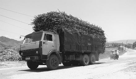 Xe chở quá tải trên tuyến quốc lộ 25, đoạn qua huyện Sơn Hòa (Phú Yên).
